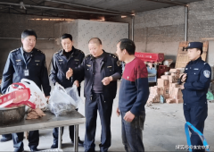 财产布局进一步获得优