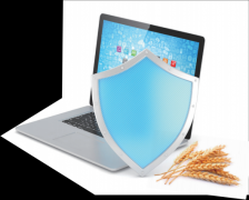 托“信用中国”平台